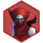 Shard-Character-Nightsister Acolyte.png