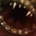 Thumbnail for version as of 00:40, 4 March 2020