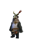 Unit-Character-Ewok Elder.png