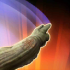 Tex.ability jabbathehutt basic.png