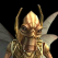 Tex.charui geonosian commander.png