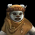 Unit-Character-Chief Chirpa-portrait.png