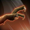 Tex.ability rancor basic.png